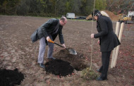 Birštono savivaldybės merė ir administracijos atstovai dalyvavo medelių sodinimo akcijoje