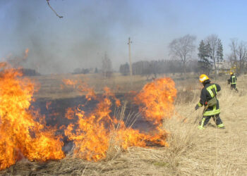 Žolės degintojai kelia grėsmę sau ir kitiems