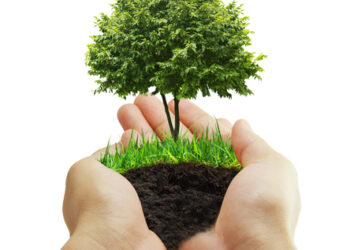 Padėkok Žemei – pasodink medelį