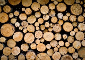 Ar be „ryklių“ dar matome kitus?