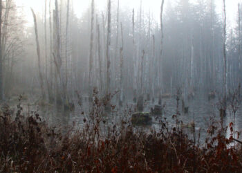Medininkų pilyje – menininko Virgilijaus Bizausko fotografijų paroda iš ciklo „Pasivaikščiojimai“
