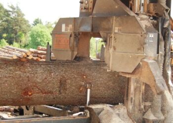 Kuo Seimo nariams nusikalto perdibėjai?