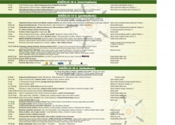 Apie ypatingus Baltosios rožės miesto šventės renginius