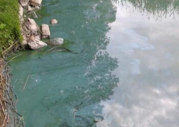 Kai kurių vandens telkinių „žydėjimas“