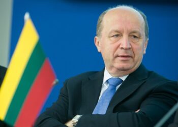 Nacionalinio saugumo reikalai: A.Kubilius