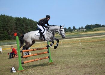 Konkūrų varžybose laurus skynė lazdijiečiai