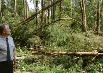 Miškus krečia ne tik politinės audros, bet ir stichija