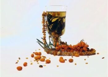 Alytaus kraštas įtrauktas į Pasaulinį gintaro kelią