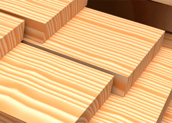 Projekto „Mediena“ metu VMI tikrins medieną parduodančius gyventojus ir įmones