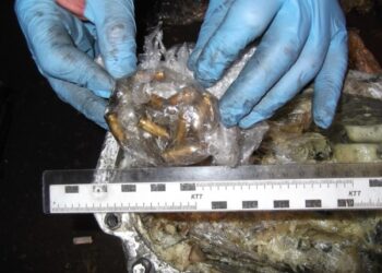 Netikėtas radinys garaže