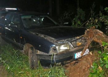 DAR VIENAS „KELIŲ ERELIS” PASIEKĖ FINIŠĄ (VIDEO)