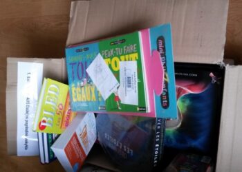 Vertingų knygų siunta iš Prancūzijos