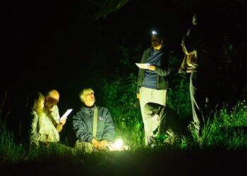 Renginyje – sutemose paskendusių pievų paslaptys