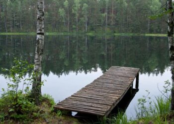 Ar lieptui statyti reikia leidimo?