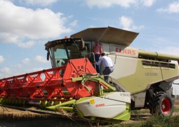 ŽŪB „Atžalynas“ javus kulia išmaniuoju kombainu