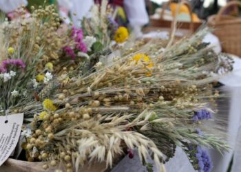 Žolinė Turgeliuose: padėkos už gerą derlių