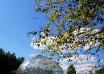 Lankytinos vietos: Česukų kaimas