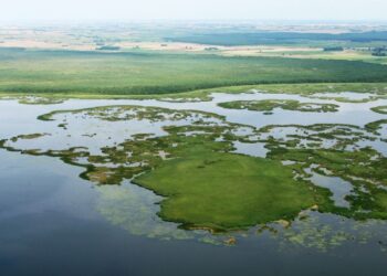 Lankytinos vietos: Žuvinto biosferos rezervatas