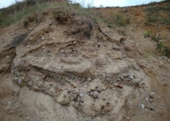 Išrinktas Lietuvos nacionalinis akmuo