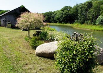 Širdis liepė susirasti tėvynę