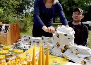 Bičiuliauta prie medaus stalo