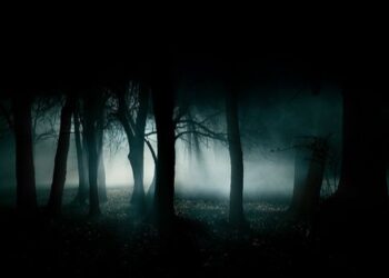 Kodėl vaikams patinka pasiklysti miške?