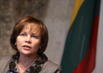 R. Juknevičienė: „V. Tomaševskio elgesį vertinu kaip nelojalumą Lietuvos valstybei“