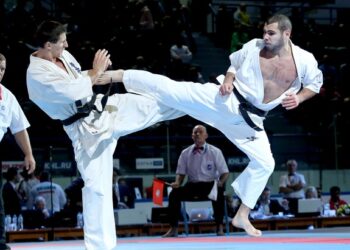 KWU kiokušin karatė pasaulio čempionate – sidabras ir bronza