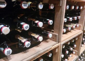 8 onkologinės ligos tiesiogiai siejamos su alkoholio vartojimu