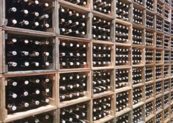 91 proc. vaikų aplinkoje yra girtaujama