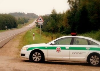 Kelių policija įspėja vairuotojus dėl intensyvios laukinių gyvūnų žiemos migracijos pradžios