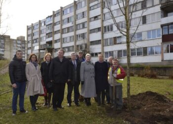 Lentvarį papuoš suvešėję nauji medžiai