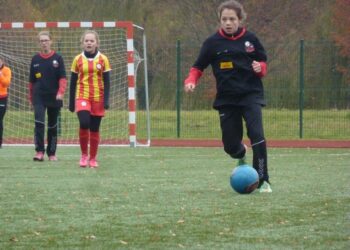 „Sūduvos taurė 2015“ iškeliavo į Alytų