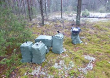 Sprukdami nuo Druskininkų pasieniečių kontrabandininkai pametė 3 tūkst. pakelių rūkalų (foto)