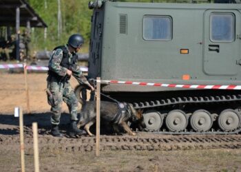Tarptautinių kursų metu tarnybiniai šunys treniruosis aptikti sprogmenis