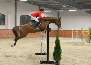 Iš Lenkijos konkūrų varžybų – su aukščiausiais įvertinimais