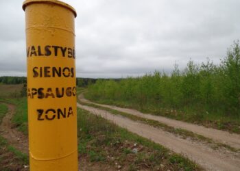 VSAT pareigūnę apspardžiusiai moteriai gresia nelaisvė iki 3 metų