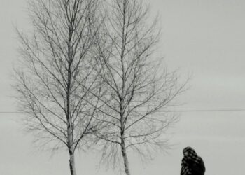 R.Šarknicko filmo peržiūra