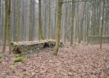 Įvertino Pirmojo Alytaus žydų kapinių būklę