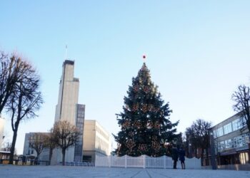 Iki Trijų karalių Alytaus miesto eglutė žibės ir šviesiuoju paros metu