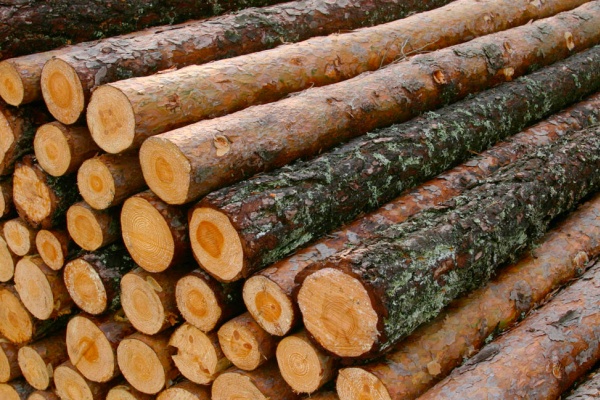 Didieji medienos pramonininkai nemėgsta rinkos dėsnių?