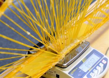 Nacionalinis moksleivių čempionatas „Makaronų tiltai 2016“