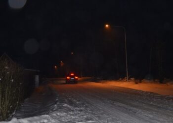 Naujos apšvetimo linijos sodų bendrijoje „Bruknelė“