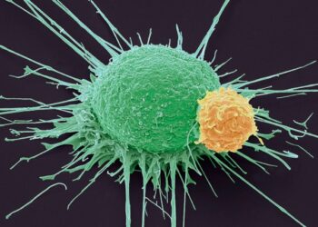 Pasaulinė kovos su vėžiu diena: „Mes galime. Aš galiu“