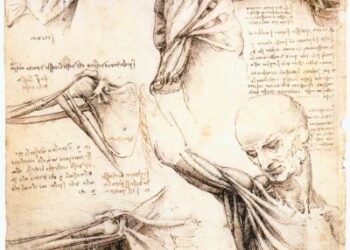 Peties sąnario skausmas – ką turėtumėte žinoti?