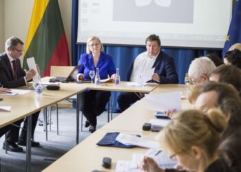 LSA tarptautinių ryšių komiteto pirmininkė N. Dirginčienė – apie savivaldybių vaidmenį įgyvendinant Baltijos jūros strategiją