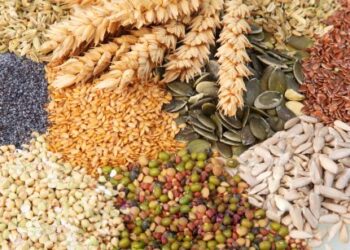 Švedijoje atliktas naujas tyrimas: Tarp pagyvenusių žmonių plačiai paplitęs seleno trūkumas