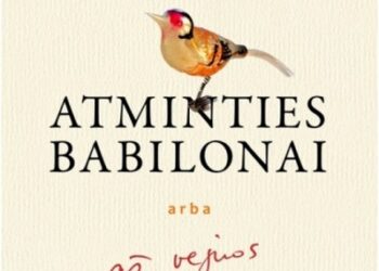 Susitikimas su rašytoja Violeta Palčinskaite