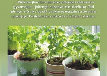 Daržas ant palangės