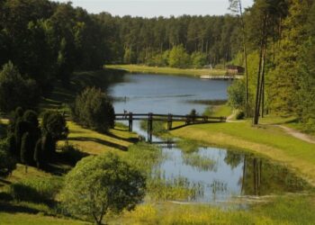 Verslininkai kviečiami teikti paslaugas ir organizuoti pramogas prie Alytaus Didžiosios ir Mažosios Dailidžių ežerų
